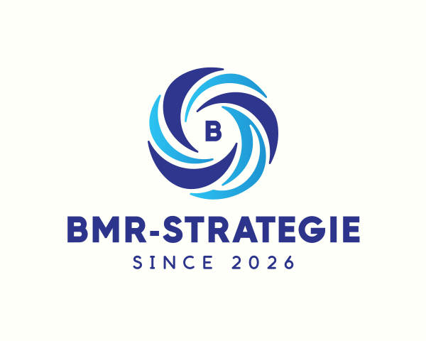 bmr-strategie.fr